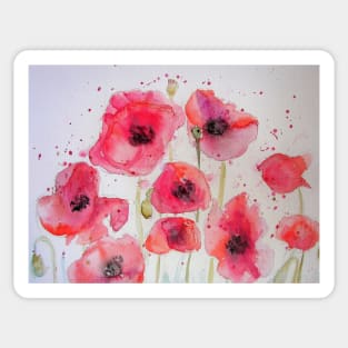 Red Poppy Party Watercolor flower Painting Sticker